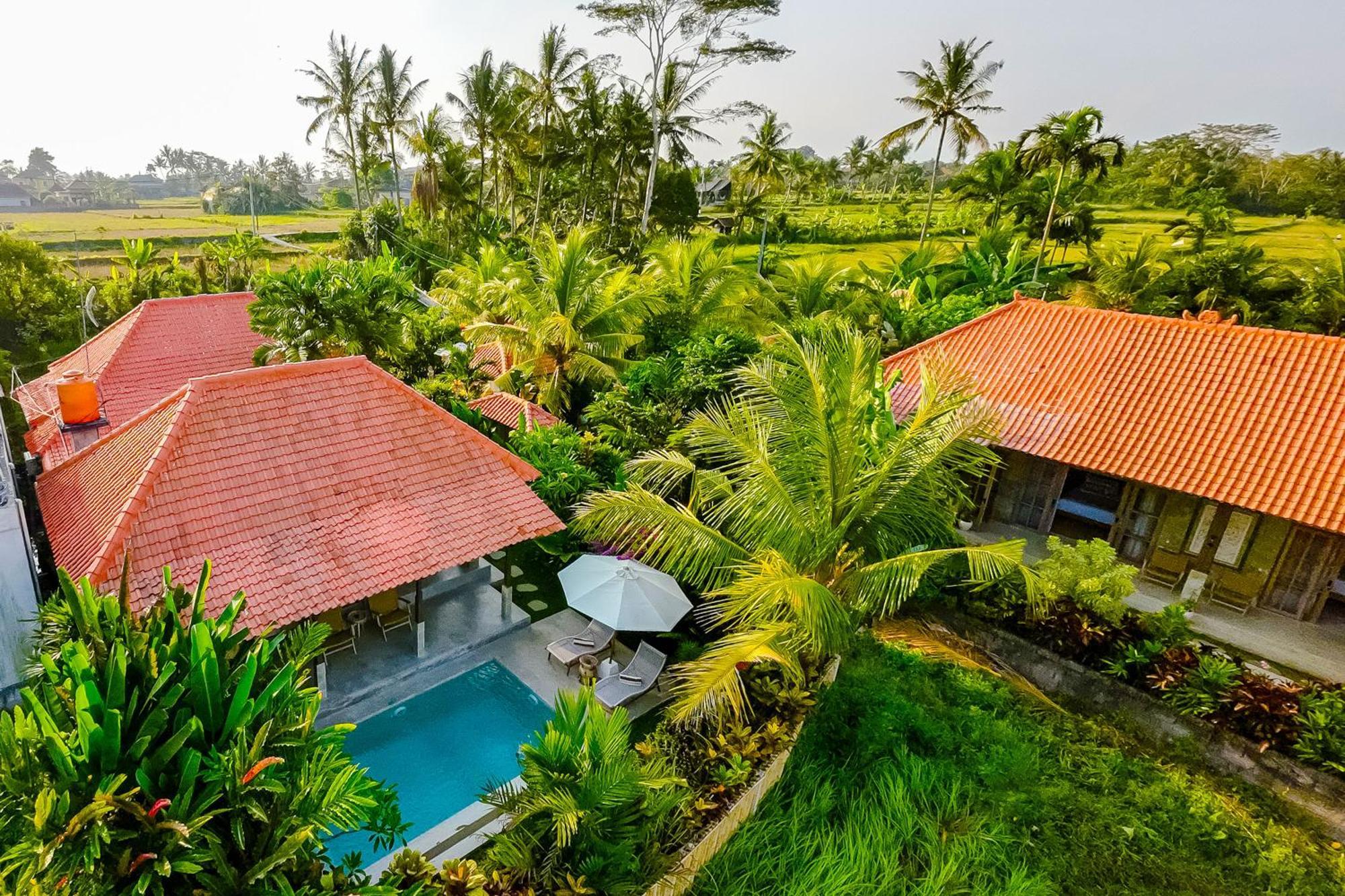 Nyaman Villas By Evdekimi Ubud 외부 사진