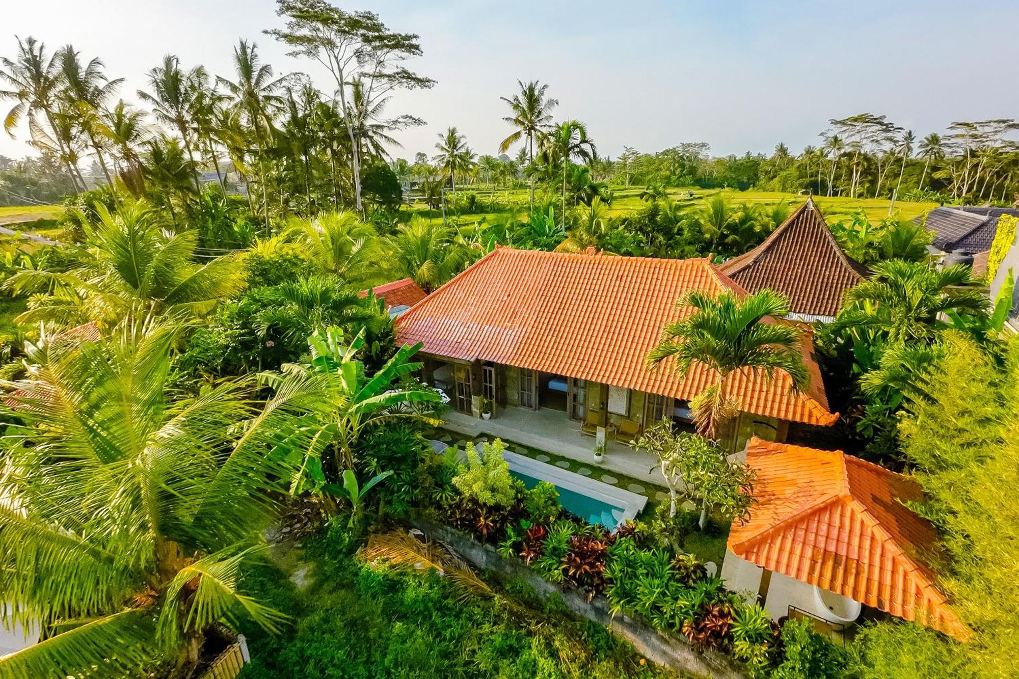 Nyaman Villas By Evdekimi Ubud 외부 사진